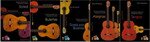 Progressive studies for Flamenco Guitar by Mehdi Mohagheghi. Pack 5(Book/DVD) - Mehdi Mohagheghi. Soleá, Bulerías, Soleá por Bulerías , Alegrías y Tangos.